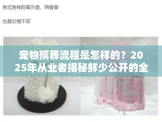 宠物殡葬流程是怎样的?2025年从业者揭秘鲜少公开的全流程细节与关键注意点 宠物殡葬流程是怎样的?2025年从业者揭秘鲜少公开的全流程细节与关键注意点