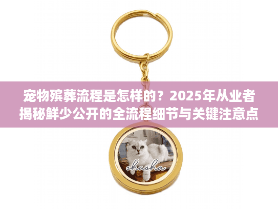 宠物殡葬流程是怎样的?2025年从业者揭秘鲜少公开的全流程细节与关键注意点 宠物殡葬流程是怎样的?2025年从业者揭秘鲜少公开的全流程细节与关键注意点