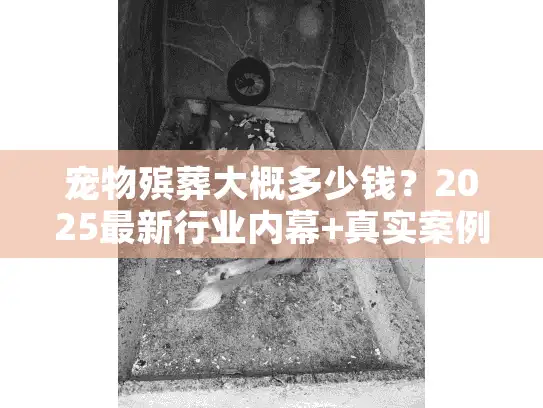 宠物殡葬大概多少钱？2025最新行业内幕+真实案例揭秘（避免被坑）