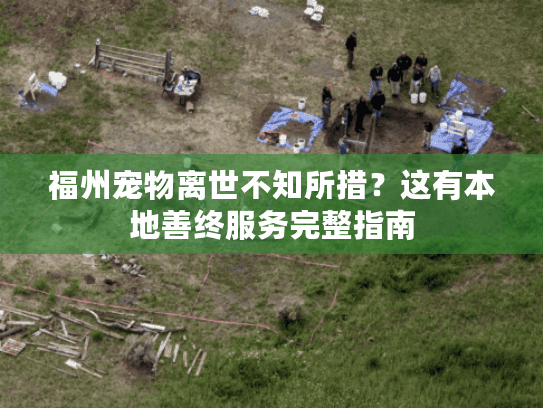 福州宠物离世不知所措？这有本地善终服务完整指南