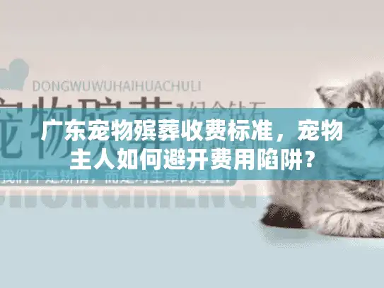 广东宠物殡葬收费标准，宠物主人如何避开费用陷阱？