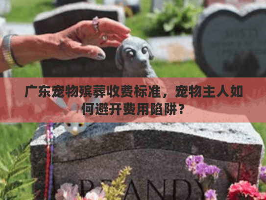 广东宠物殡葬收费标准，宠物主人如何避开费用陷阱？