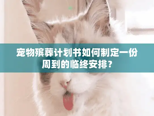 宠物殡葬计划书如何制定一份周到的临终安排？
