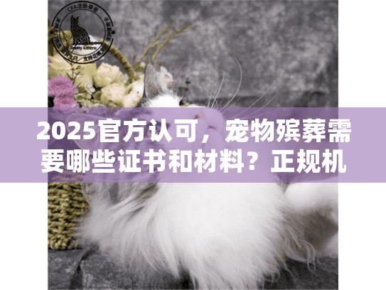2025官方认可,宠物殡葬需要哪些证书和材料?正规机构资质+必备手续清单 2025官方认可,宠物殡葬需要哪些证书和材料?正规机构资质+必备手续清单