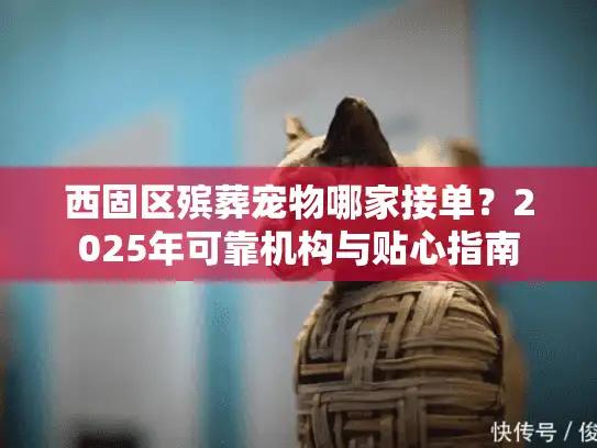 西固区殡葬宠物哪家接单?2025年可靠机构与贴心指南 西固区殡葬宠物哪家接单?2025年可靠机构与贴心指南