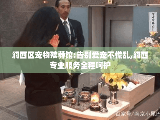 涧西区宠物殡葬馆:告别爱宠不慌乱,涧西专业服务全程呵护