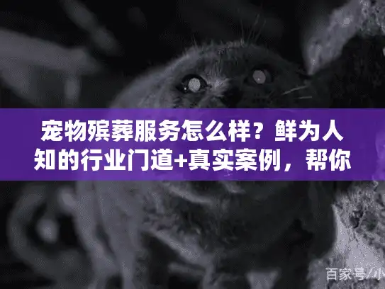 宠物殡葬服务怎么样?鲜为人知的行业门道+真实案例,帮你选对靠谱机构 宠物殡葬服务怎么样?鲜为人知的行业门道+真实案例,帮你选对靠谱机构