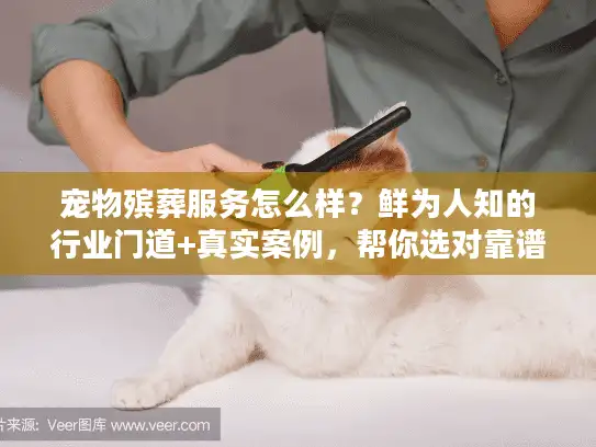 宠物殡葬服务怎么样?鲜为人知的行业门道+真实案例,帮你选对靠谱机构 宠物殡葬服务怎么样?鲜为人知的行业门道+真实案例,帮你选对靠谱机构