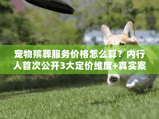 宠物殡葬服务价格怎么算？内行人首次公开3大定价维度+真实案例拆解