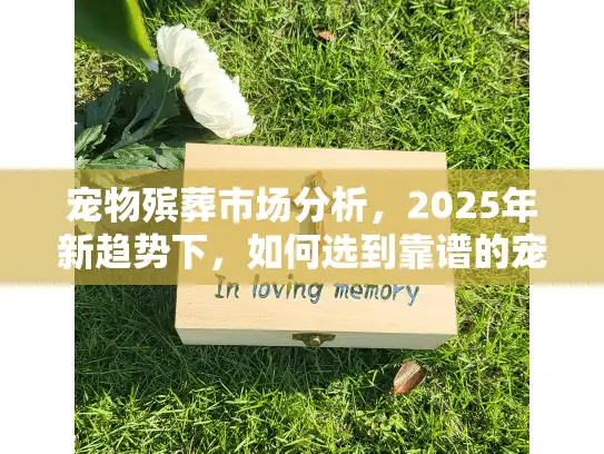 宠物殡葬市场分析，2025年新趋势下，如何选到靠谱的宠物后事服务？