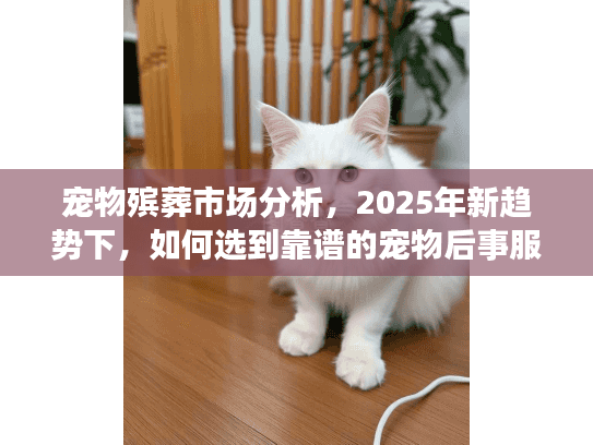 宠物殡葬市场分析，2025年新趋势下，如何选到靠谱的宠物后事服务？