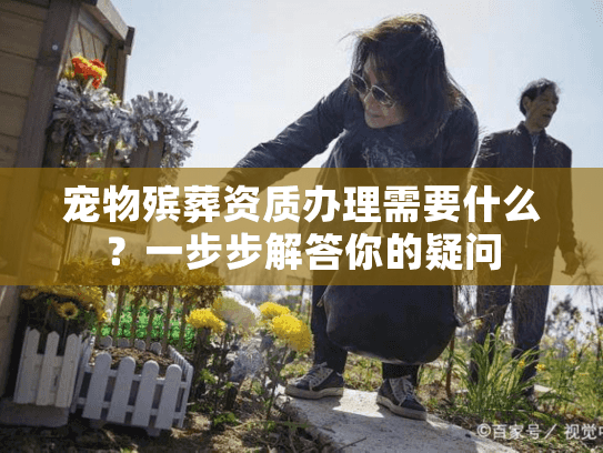 宠物殡葬资质办理需要什么？一步步解答你的疑问