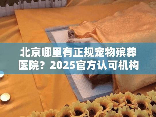 北京哪里有正规宠物殡葬医院？2025官方认可机构清单+避坑技巧（附用户亲身经历）
