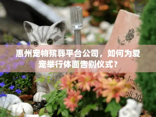 惠州宠物殡葬平台公司，如何为爱宠举行体面告别仪式？