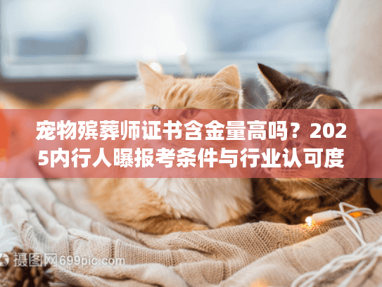 宠物殡葬师证书含金量高吗?2025内行人曝报考条件与行业认可度真相 宠物殡葬师证书含金量高吗?2025内行人曝报考条件与行业认可度真相