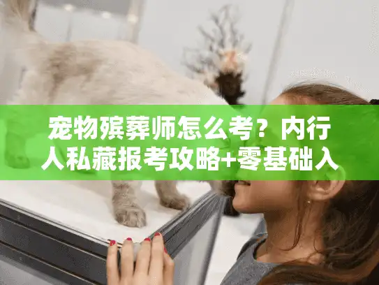 宠物殡葬师怎么考？内行人私藏报考攻略+零基础入行实战案例