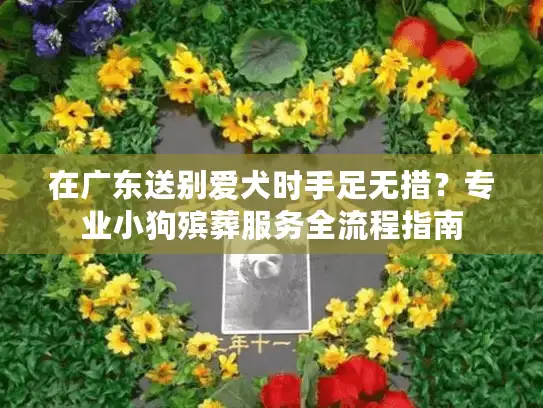 在广东送别爱犬时手足无措?专业小狗殡葬服务全流程指南 在广东送别爱犬时手足无措?专业小狗殡葬服务全流程指南