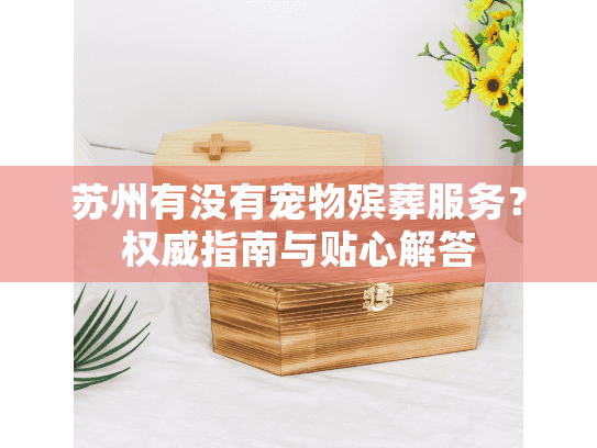 苏州有没有宠物殡葬服务？权威指南与贴心解答
