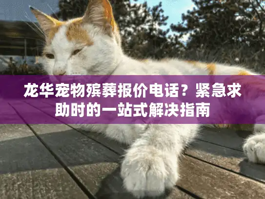 龙华宠物殡葬报价电话？紧急求助时的一站式解决指南