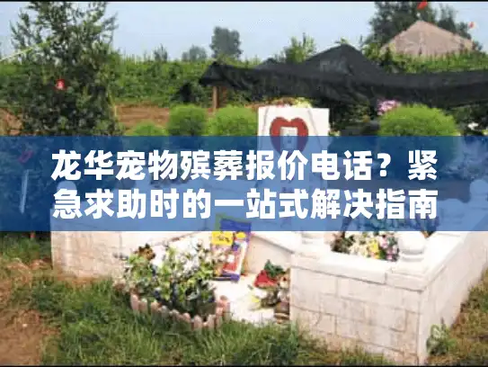 龙华宠物殡葬报价电话？紧急求助时的一站式解决指南