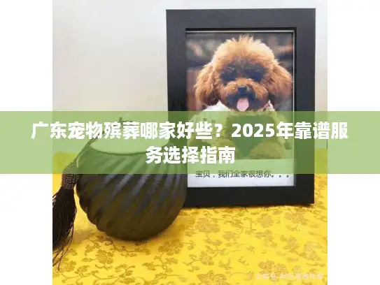 广东宠物殡葬哪家好些?2025年靠谱服务选择指南 广东宠物殡葬哪家好些?2025年靠谱服务选择指南
