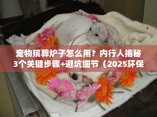 宠物殡葬炉子怎么用?内行人揭秘3个关键步骤+避坑细节(2025环保实测) 宠物殡葬炉子怎么用?内行人揭秘3个关键步骤+避坑细节(2025环保实测)