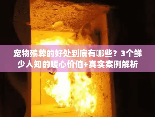 宠物殡葬的好处到底有哪些？3个鲜少人知的暖心价值+真实案例解析