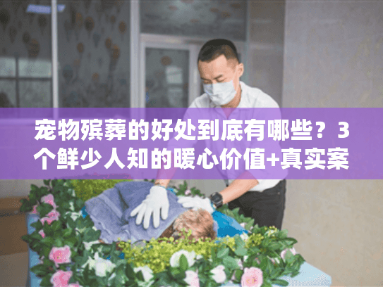 宠物殡葬的好处到底有哪些？3个鲜少人知的暖心价值+真实案例解析
