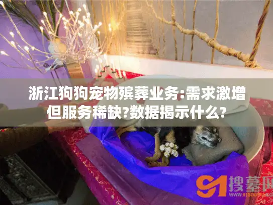 浙江狗狗宠物殡葬业务:需求激增但服务稀缺?数据揭示什么?