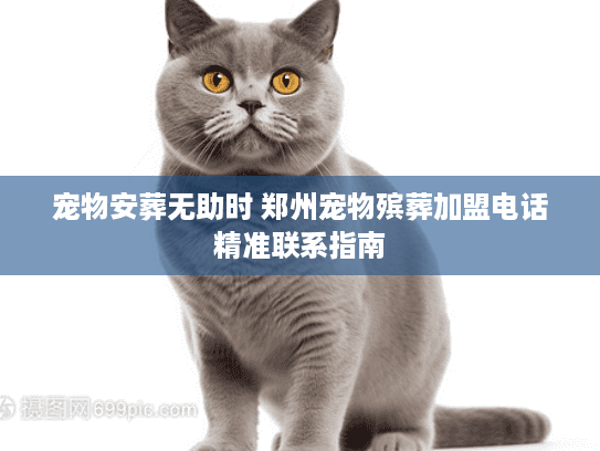 宠物安葬无助时 郑州宠物殡葬加盟电话精准联系指南