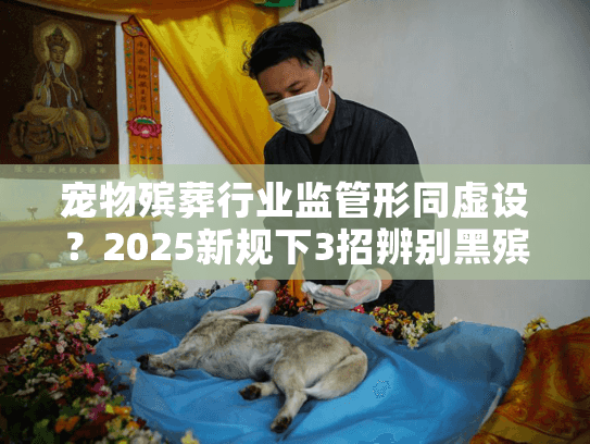 宠物殡葬行业监管形同虚设？2025新规下3招辨别黑殡葬！