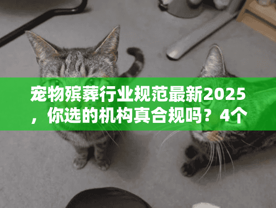 宠物殡葬行业规范最新2025，你选的机构真合规吗？4个坑+3个硬门槛必看