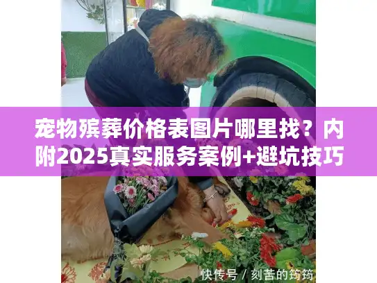 宠物殡葬价格表图片哪里找？内附2025真实服务案例+避坑技巧