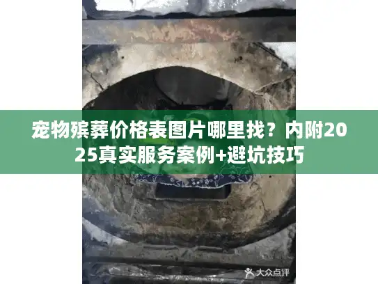 宠物殡葬价格表图片哪里找？内附2025真实服务案例+避坑技巧