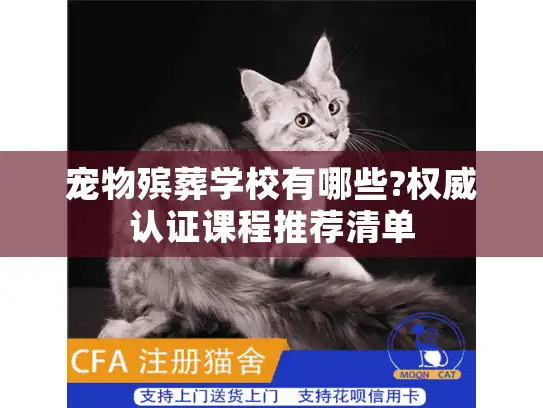 宠物殡葬学校有哪些?权威认证课程推荐清单 宠物殡葬学校有哪些?权威认证课程推荐清单