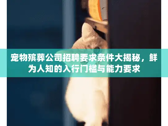 宠物殡葬公司招聘要求条件大揭秘，鲜为人知的入行门槛与能力要求