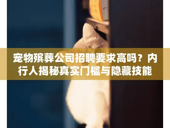 宠物殡葬公司招聘要求高吗？内行人揭秘真实门槛与隐藏技能