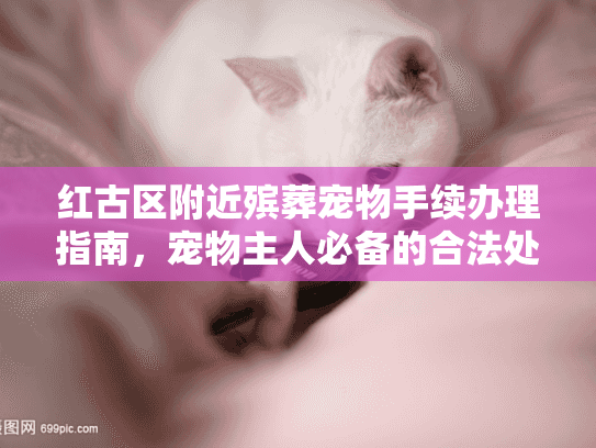 红古区附近殡葬宠物手续办理指南，宠物主人必备的合法处理步骤
