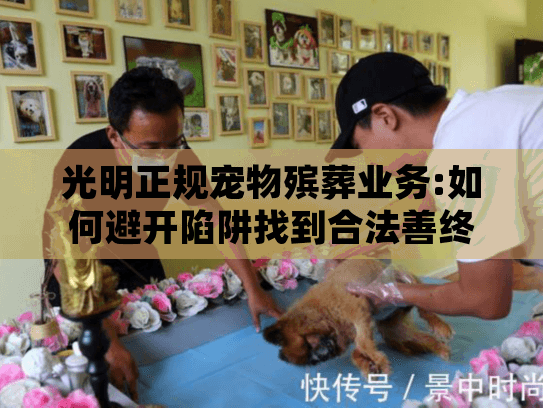 光明正规宠物殡葬业务:如何避开陷阱找到合法善终机构?