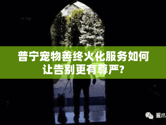 普宁宠物善终火化服务如何让告别更有尊严?