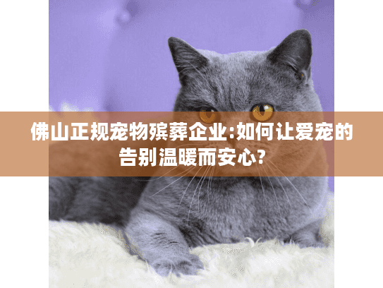 佛山正规宠物殡葬企业:如何让爱宠的告别温暖而安心?