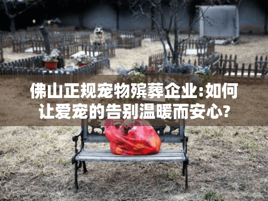 佛山正规宠物殡葬企业:如何让爱宠的告别温暖而安心?