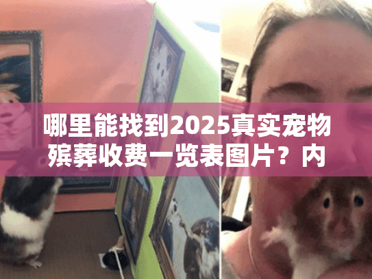 哪里能找到2025真实宠物殡葬收费一览表图片？内附3个避坑案例