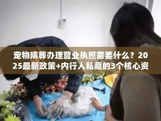 宠物殡葬办理营业执照需要什么?2025最新政策+内行人私藏的3个核心资质(附案例) 宠物殡葬办理营业执照需要什么?2025最新政策+内行人私藏的3个核心资质(附案例)