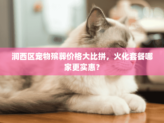 涧西区宠物殡葬价格大比拼,火化套餐哪家更实惠? 涧西区宠物殡葬价格大比拼,火化套餐哪家更实惠?
