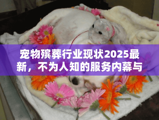 宠物殡葬行业现状2025最新，不为人知的服务内幕与真实案例，你了解吗？