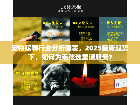 宠物殡葬行业分析图表，2025最新趋势下，如何为毛孩选靠谱服务？