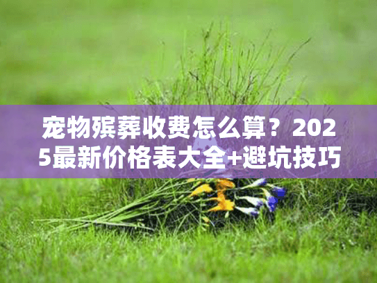 宠物殡葬收费怎么算？2025最新价格表大全+避坑技巧全揭秘（真实案例）
