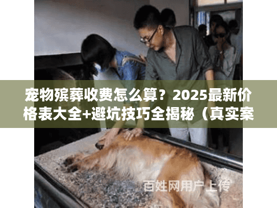 宠物殡葬收费怎么算？2025最新价格表大全+避坑技巧全揭秘（真实案例）