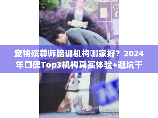 宠物殡葬师培训机构哪家好？2024年口碑Top3机构真实体验+避坑干货